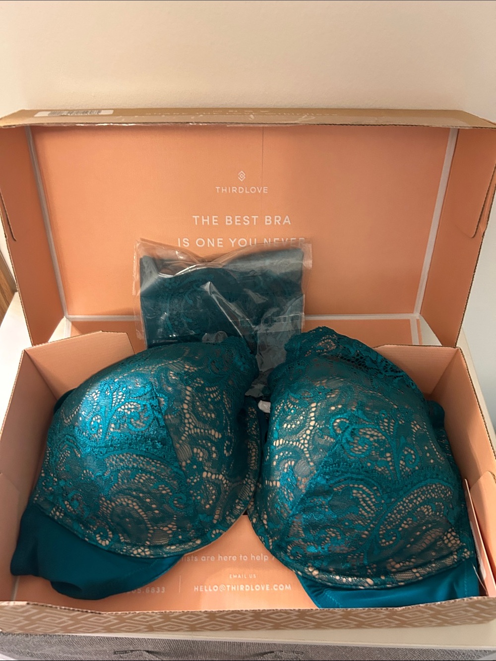 ThirdLove Teal Lace Plunge Bra
